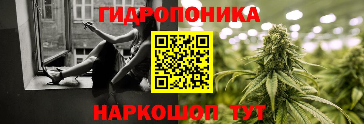 Бошки марихуана OG Kush Богородск